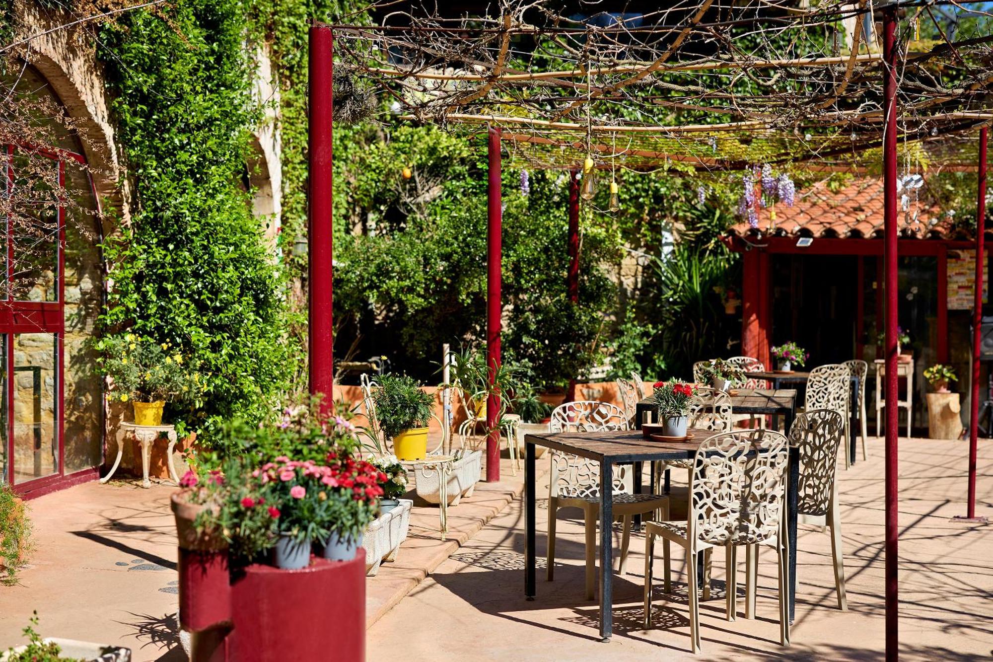 B&B Mas Torrencito Pet Friendly Parets de Ampurdá Zewnętrze zdjęcie
