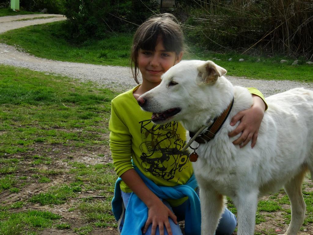B&B Mas Torrencito Pet Friendly Parets de Ampurdá Zewnętrze zdjęcie